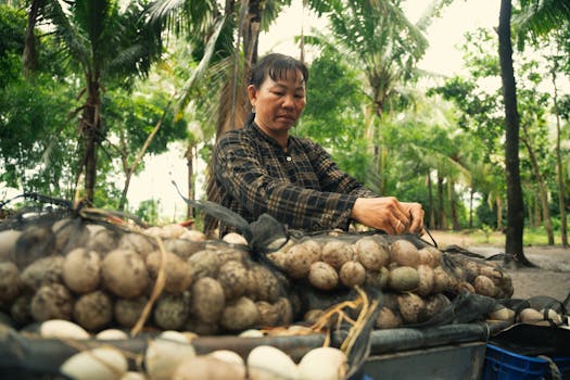 Objevte Nejlepší Farmářské Trhy v Lysé a Okolí pro Čerstvé Produkty!