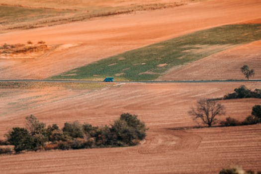 Čerstvé a Lokální: Objevte Farmářské Trhy v Lysé nad Labem!