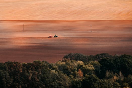 Objevte Top Relaxační Aktivity v Lysé nad Labem!