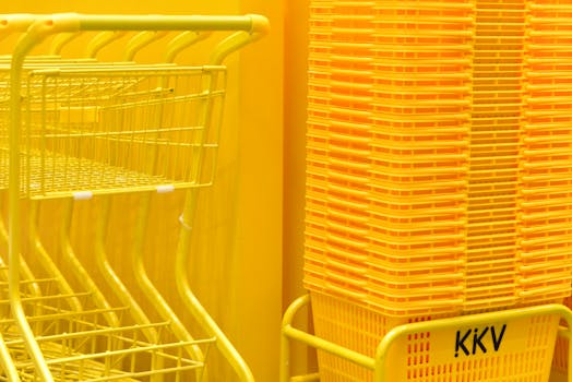 Zdravé Nakupování v Lysé: Průvodce Bio Obchody a Produkty